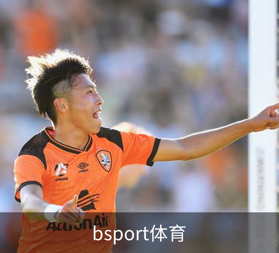 bsport体育概况